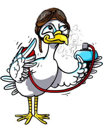 Racek Kurýr ekonomická zásilka Racek Kurýr ekonomická zásilka