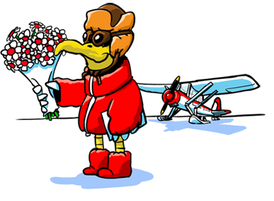 Rozvoz květin - kurýrní služba Praha Rozvoz květin - kurýrní služba Praha