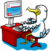 Racek Kurýr Praha online objednávky Racek Kurýr Praha online objednávky